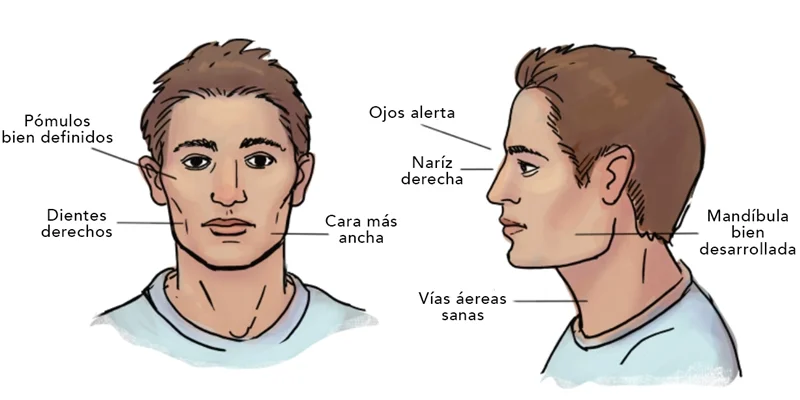 Características del respirador nasal